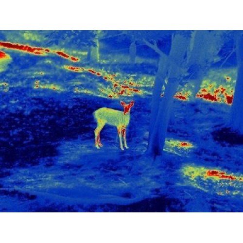 Прицел тепловизионный GUIDE TS450 в Ульяновске